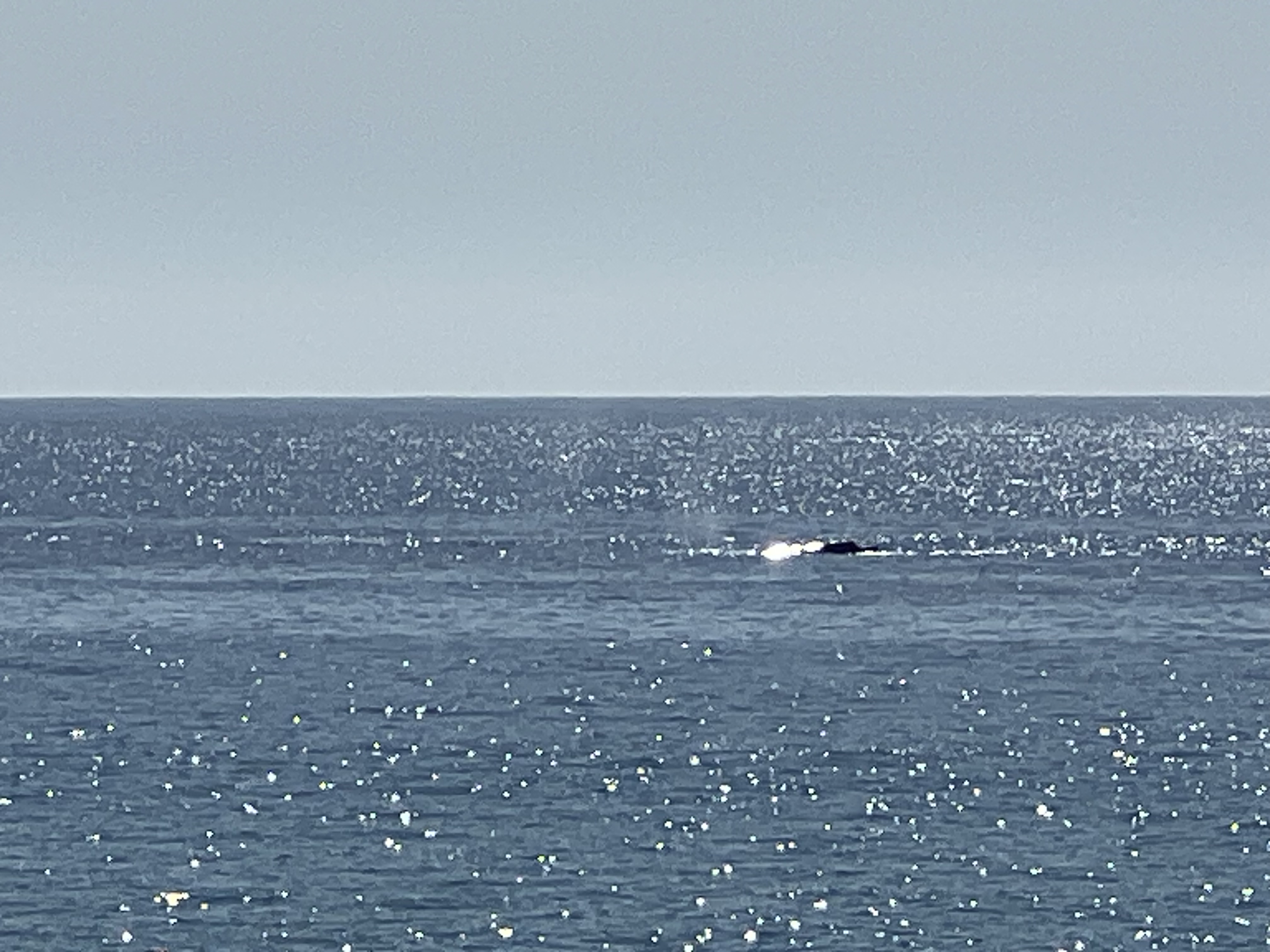 ./2024/13 - Cabo/IMG_4602.jpg